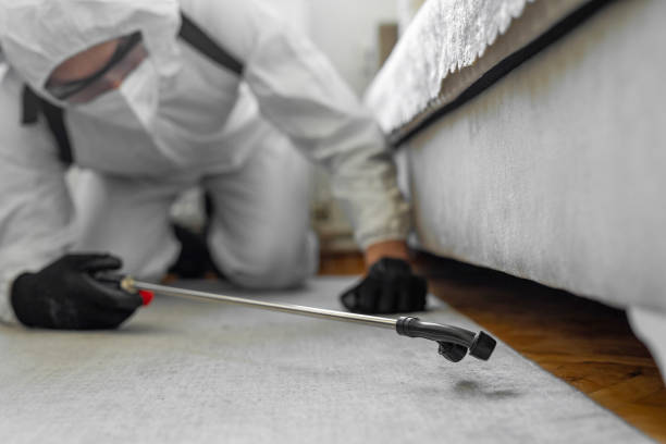 Professional Pest Control technician working in Kerr County County, TX